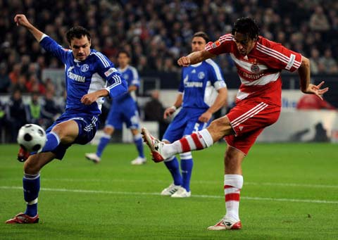 森林狼的争 森林狼的争